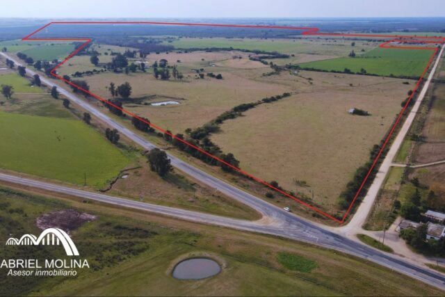Campo de 400 ha alta productividad