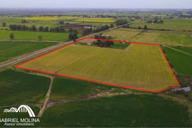Chacra en Venta – Camino de la Costa, Km 27