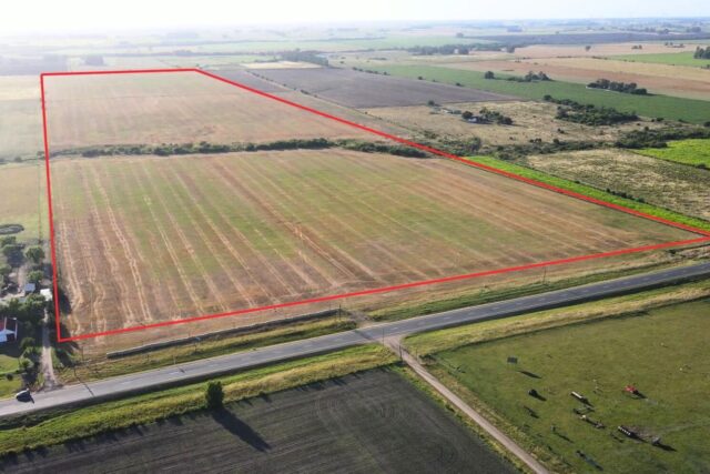 42 ha de campo agricola