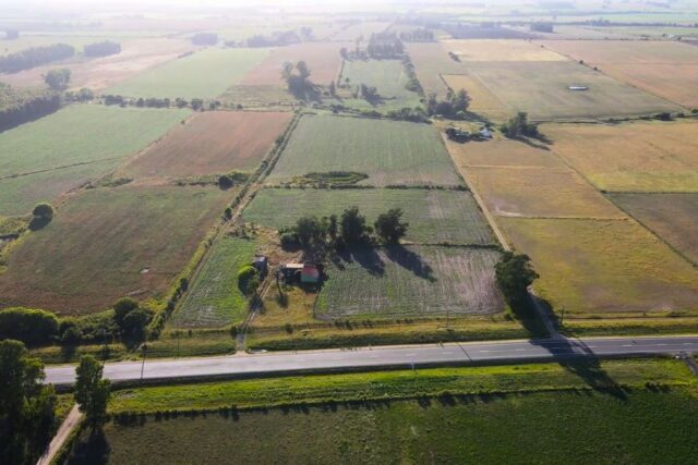 12 ha con casa de campo